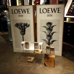 LOEWE